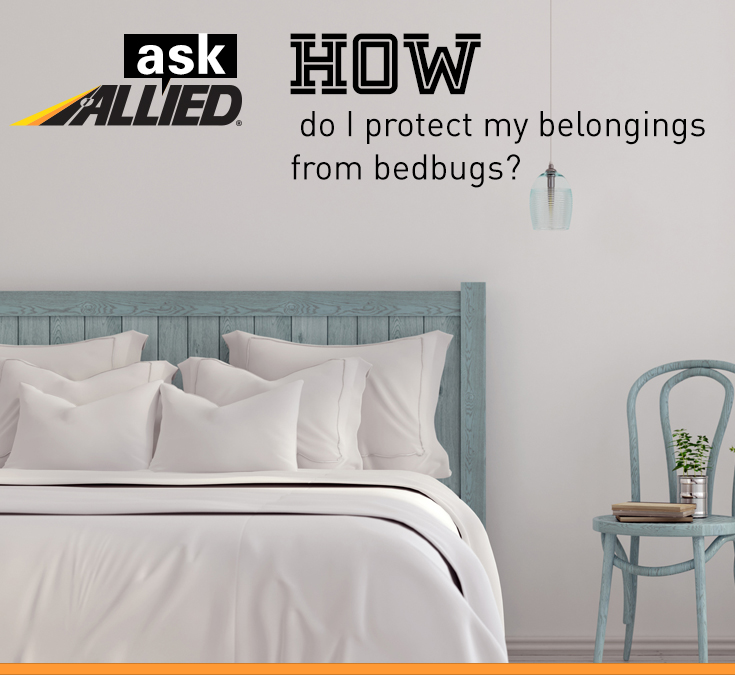 Ask Allied How Do I Protect My Belongings From Bugs When Moving