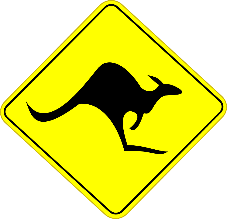 kangaroo-151559_960_720
